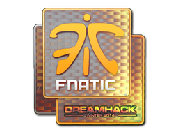 Fnatic (Holo) | DreamHack 2014