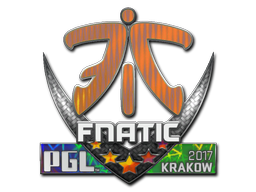 Fnatic (Holo) | Krakow 2017