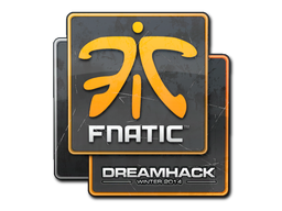 Fnatic | DreamHack 2014