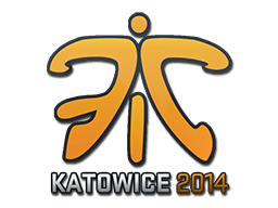 Fnatic | Katowice 2014