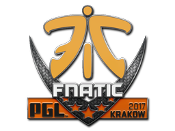 Fnatic | Krakow 2017