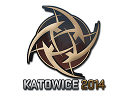 Ninjas in Pyjamas | Katowice 2014