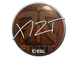 Sticker | Xizt | Katowice 2019 - CSGO Database