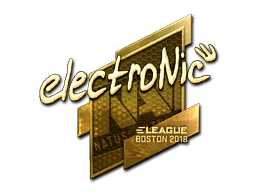 electronic (Gold) | Boston 2018