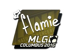 flamie | MLG Columbus 2016