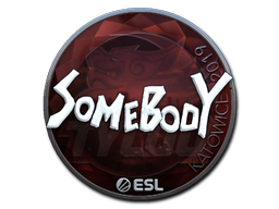 Sticker | somebody (Foil) | Katowice 2019 - CSGO Database