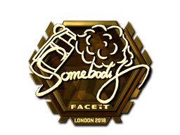 Sticker | somebody (Gold) | London 2018 - CSGO Database